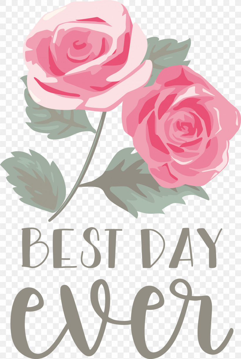Best Day Ever Wedding, PNG, 2013x3000px, Best Day Ever, Blue Rose, Cabbage Rose, Cut Flowers, Floral Design Download Free
