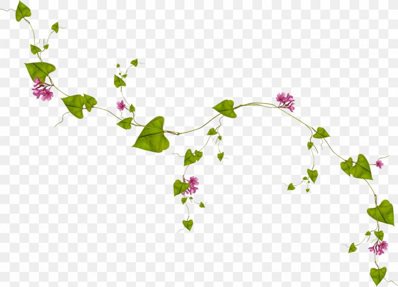 Leaf Vine Clip Art, PNG, 1280x923px, Leaf, Blossom, Branch, Display Resolution, Flora Download Free