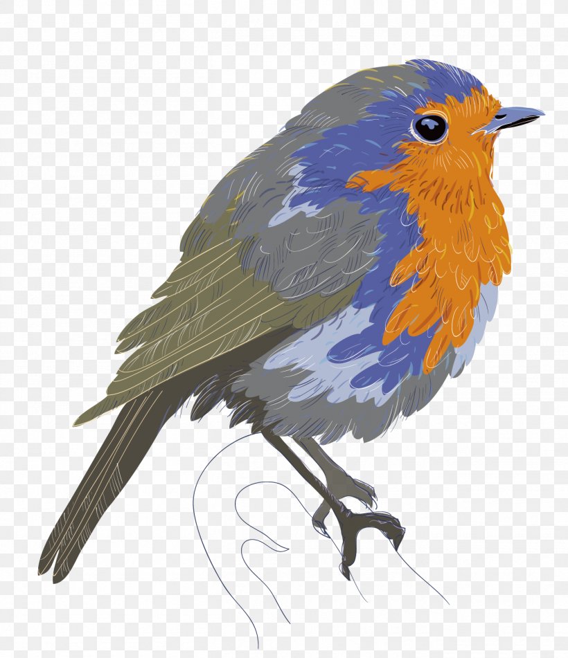 Bird Flight Tweety Euclidean Vector, PNG, 1357x1574px, Bird, Beak, Bird Flight, Bluebird, Drawing Download Free