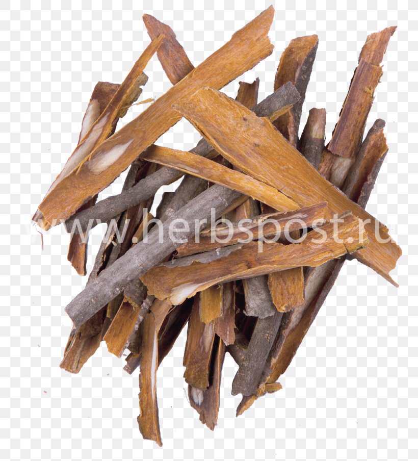 Frangula Herbaceous Plant Bark Laxative Medicinal Plants, PNG, 1024x1130px, Frangula, Alder Buckthorn, Bark, Field Horsetail, Flax Download Free