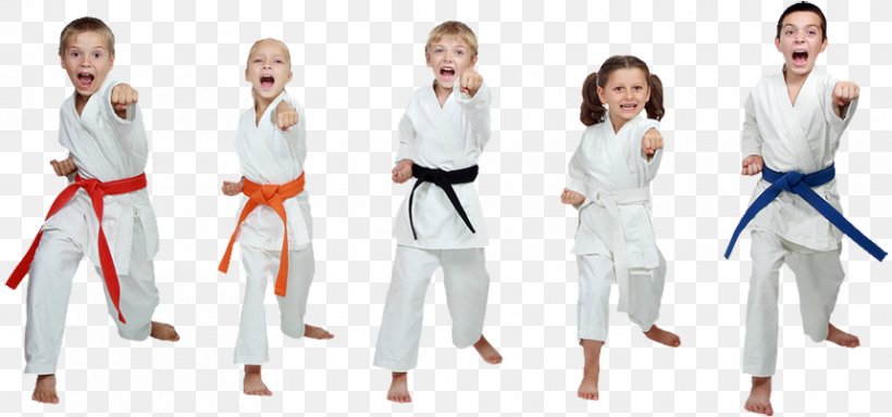 Karate Dobok Martial Arts Ammanford Market Taekwondo, PNG, 860x403px, Watercolor, Cartoon, Flower, Frame, Heart Download Free