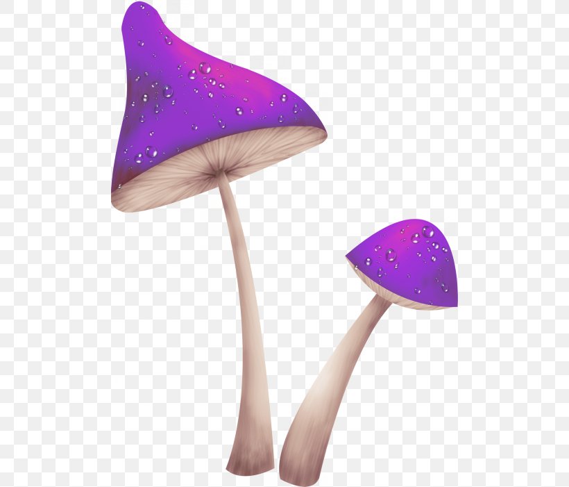 Fungus Mushroom Clip Art, PNG, 500x701px, Fungus, Agaricus, Amanita, Digital Image, Mushroom Download Free