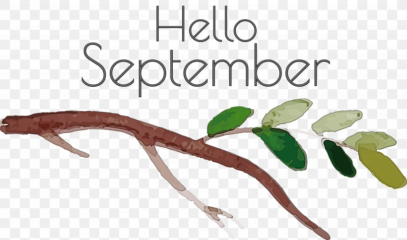 Hello September September, PNG, 3000x1774px, Hello September, Biology, Meter, Plant, Plant Stem Download Free