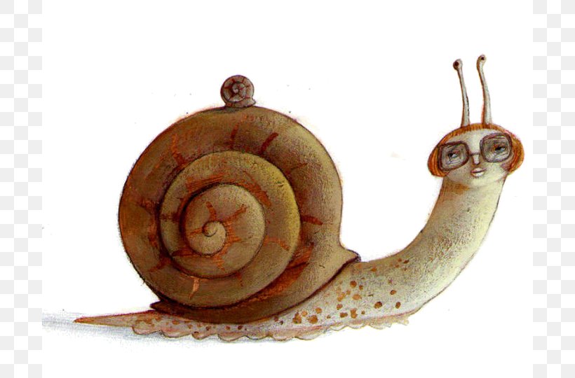 Land Snail Escargot Sea Snail Art, PNG, 700x540px, Snail, Animal, Art, Art Doll, Drawing Download Free