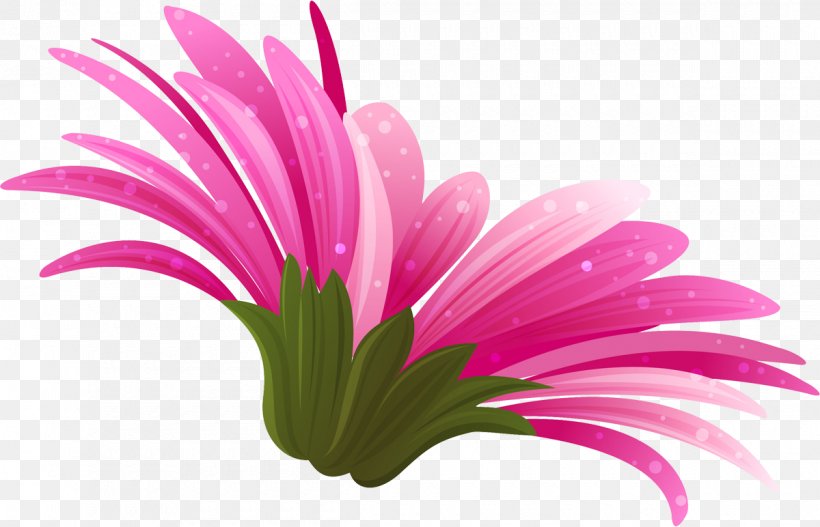 Pink Transvaal Daisy Color Clip Art, PNG, 1200x772px, Pink, Chrysanthemum, Chrysanths, Close Up, Color Download Free