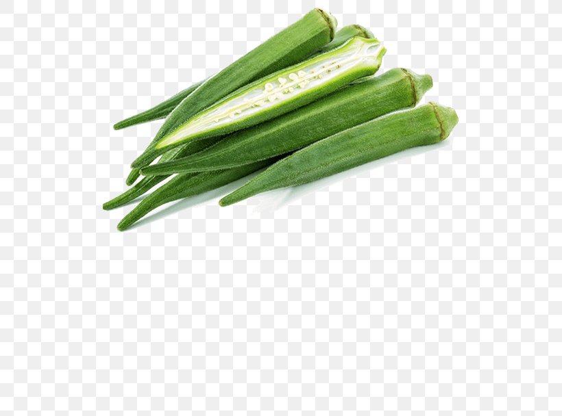 Allium Fistulosum Welsh Cuisine Green Bean Cucumber, PNG, 519x608px, Allium Fistulosum, Allium, Cucumber, Green Bean, Ingredient Download Free
