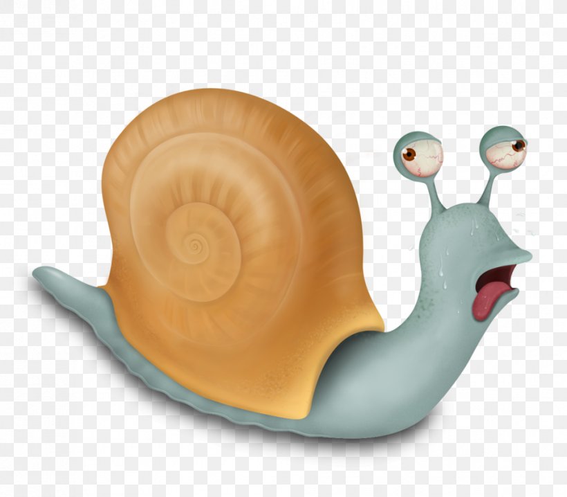 Snail Gastropods Invertebrate, PNG, 955x837px, Snail, Gastropods, Invertebrate, Molluscs, Slug Download Free