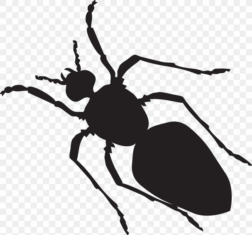 Black Garden Ant Clip Art, PNG, 1280x1197px, Ant, Animal, Arthropod, Beetle, Black And White Download Free