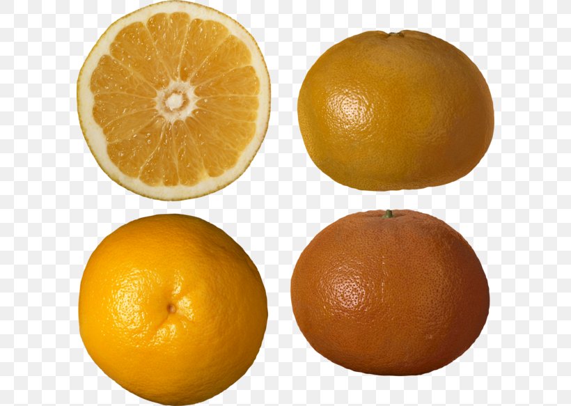 Clementine Grapefruit Tangerine Tangelo Sweet Lemon, PNG, 600x583px, Clementine, Bitter Orange, Citric Acid, Citrus, Food Download Free