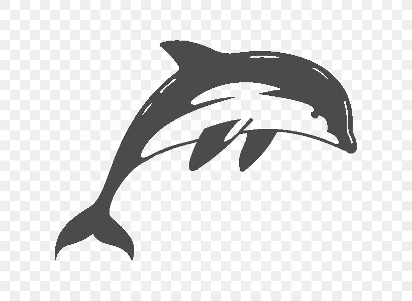 Short-beaked Common Dolphin Wall Decal, PNG, 600x600px, Shortbeaked Common Dolphin, Beak, Black, Black And White, Common Bottlenose Dolphin Download Free