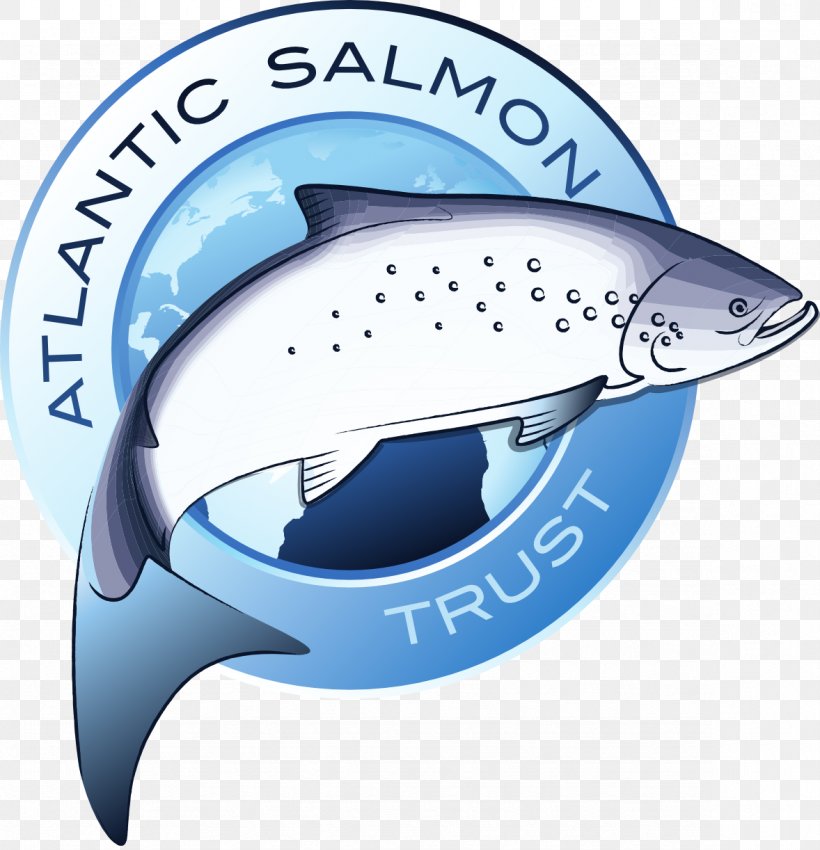 Fishing Cartoon, PNG, 1178x1222px, Atlantic Salmon, Angling, Brown Trout, Chinook Salmon, Fin Download Free