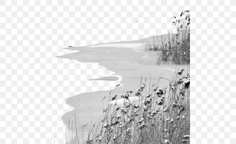Lake Scenery, PNG, 500x500px, Flathead Lake, Black And White, Grass, Ink, Lake Download Free