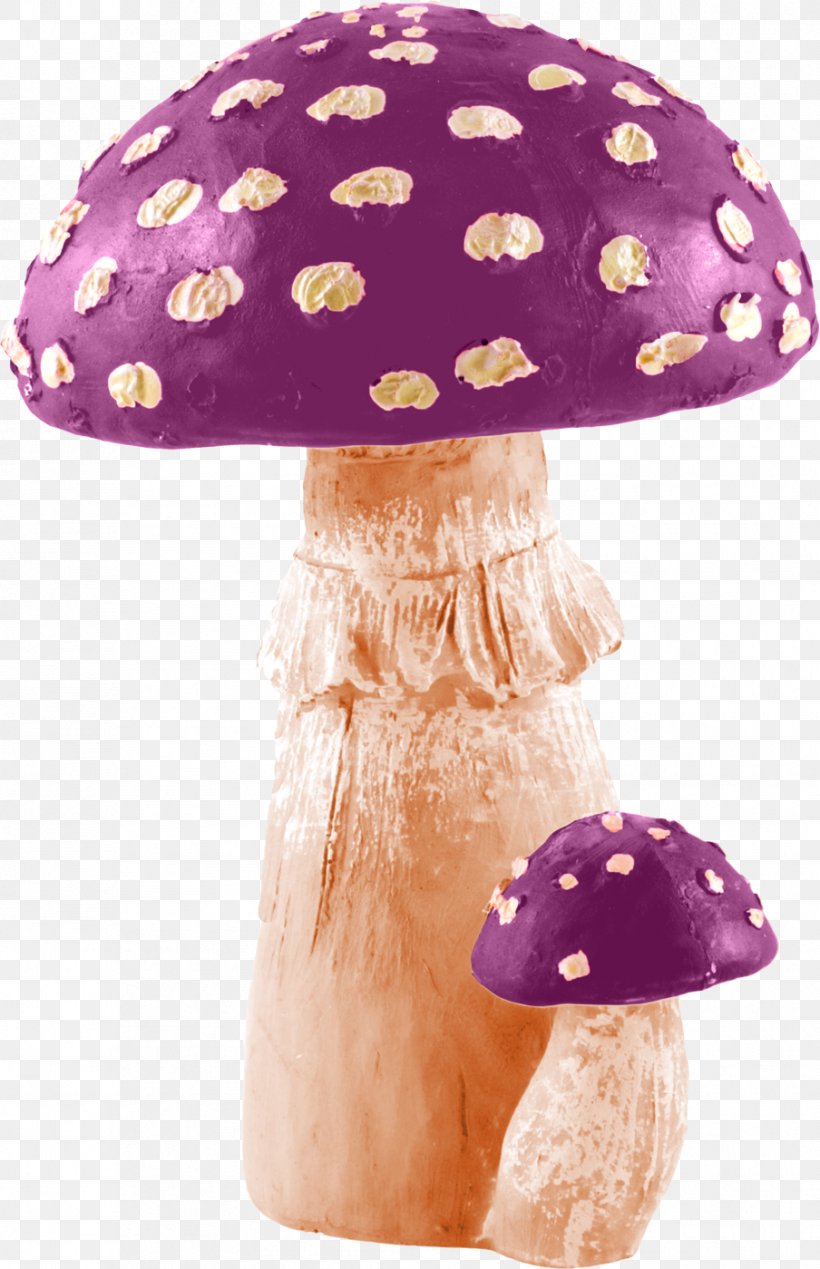 Amanita Muscaria Mushroom Photography Royalty-free, PNG, 904x1400px, Amanita Muscaria, Amanita, Fungus, Mushroom, Mushroom Poisoning Download Free