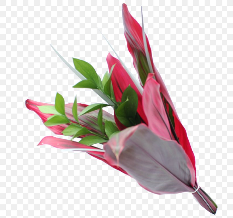 Colombia Cut Flowers Leaf Flower Bouquet, PNG, 768x768px, Colombia, Cut Flowers, Floral Design, Floriculture, Floristry Download Free