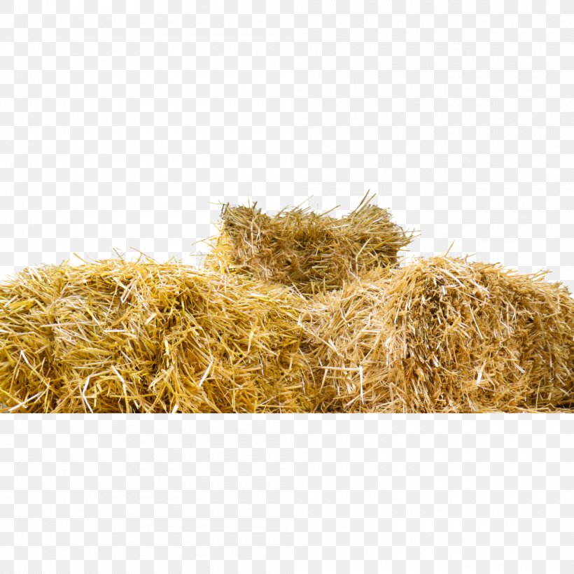 Straw-bale Construction Hay Baler, PNG, 1000x1000px, Strawbale Construction, Baler, Cereal Germ, Commodity, Farm Download Free
