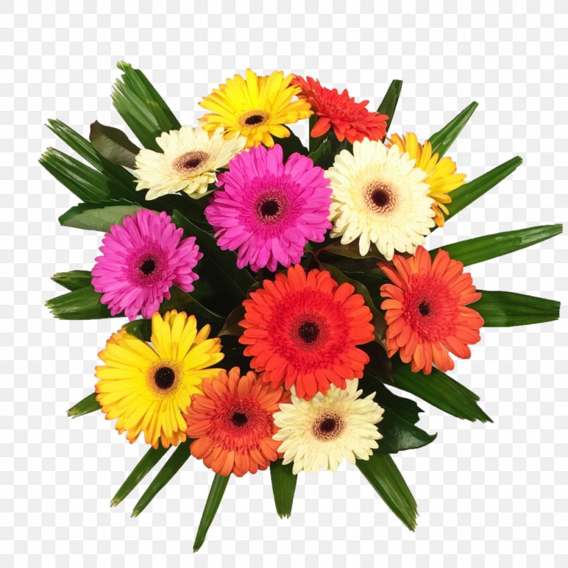 Transvaal Daisy Floral Design Flower Bouquet Cut Flowers, PNG, 1024x1024px, Transvaal Daisy, Annual Plant, Arrangement, Aster, Chrysanthemum Download Free
