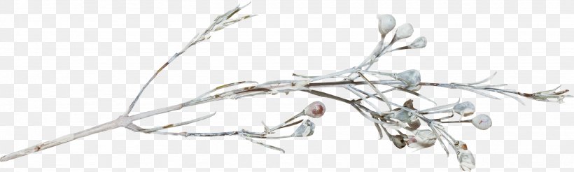 Tree Branch Snow Winter Twig, PNG, 2051x616px, Tree, Auglis, Auto Part, Body Jewelry, Branch Download Free