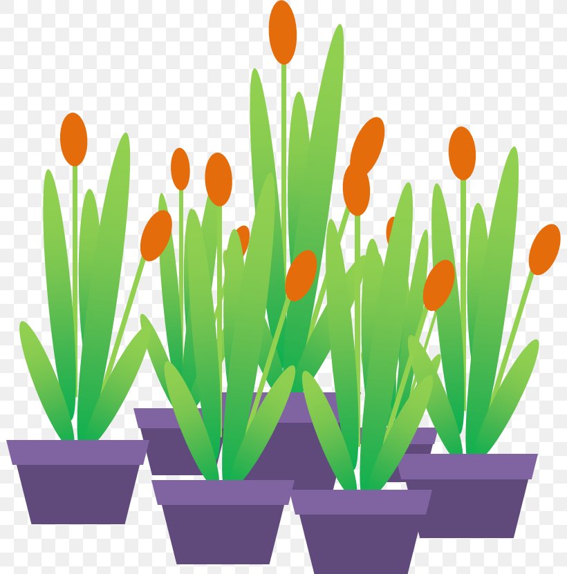 Animated Film Microsoft PowerPoint Tulip Ornamental Plant, PNG, 802x831px, Animated Film, Angry Birds Movie, Cartoon, Crocus, Film Download Free