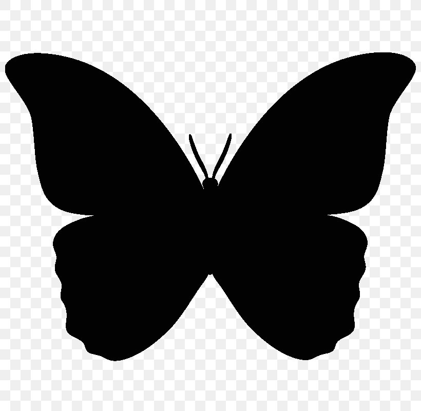 Butterfly Silhouette Clip Art, PNG, 800x800px, Butterfly, Black, Black And White, Brush Footed Butterfly, Cdr Download Free