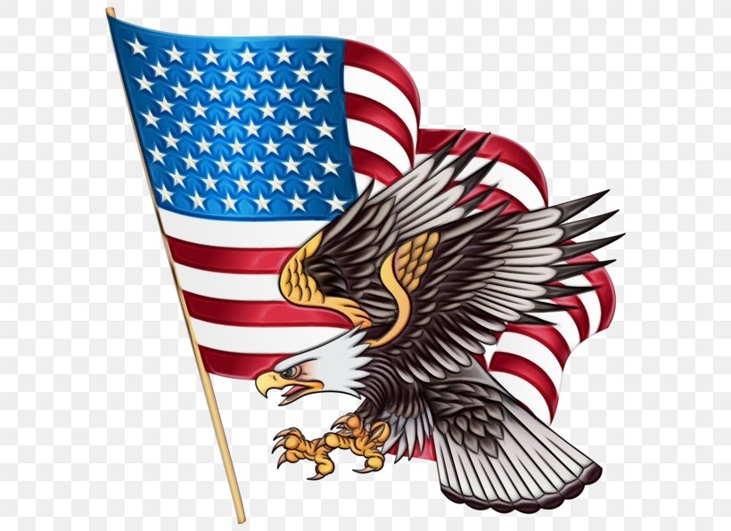 Flag Of The United States Tamaulipas Toko Obat Ayen, PNG, 600x596px, United States, Accipitridae, Accipitriformes, Accounting, Ajira Download Free
