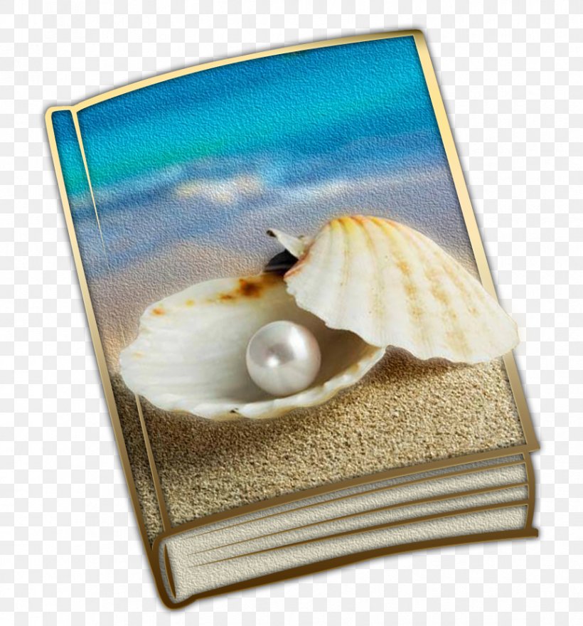 Seashell Paperback Pearl Book, PNG, 862x926px, Seashell, Book, Material, Paperback, Pearl Download Free