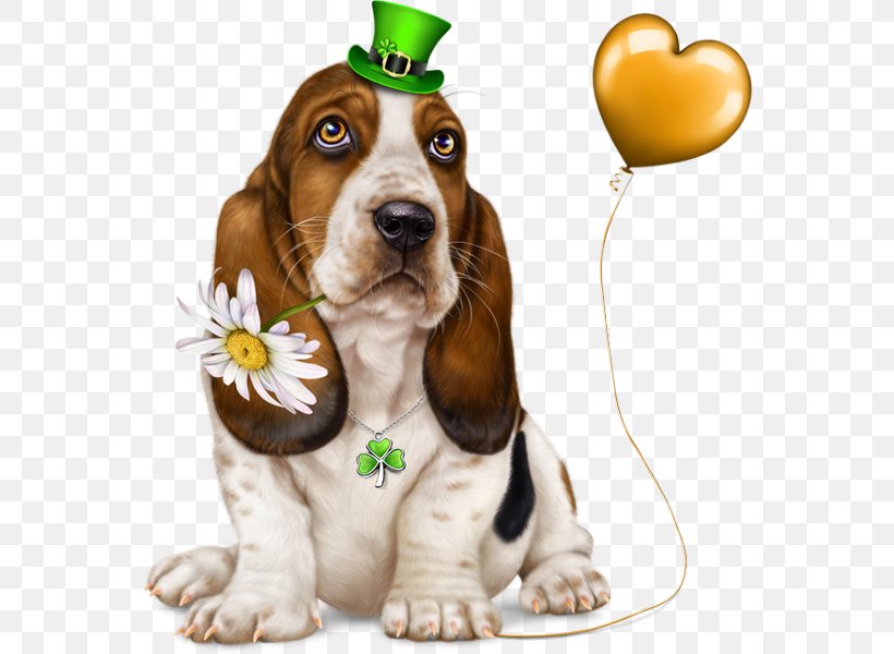 Dog Breed Basset Hound Basset Artésien Normand Puppy Companion Dog, PNG, 560x600px, Dog Breed, Basset Hound, Breed, Companion Dog, Dog Download Free