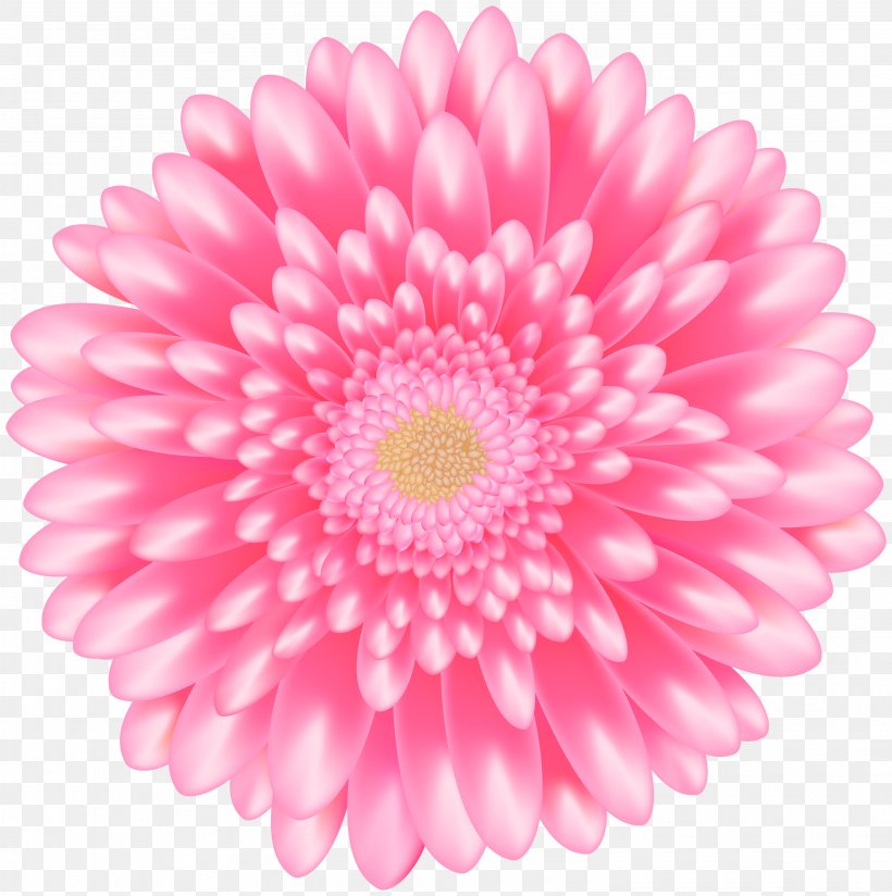 Flower Pink Gerbera Petal Barberton Daisy, PNG, 2982x3000px, Flower, Barberton Daisy, Cut Flowers, Daisy Family, Flowering Plant Download Free