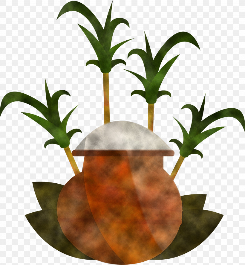 Pongal, PNG, 2776x3000px, Pongal, Biology, Flowerpot, Plants, Science Download Free