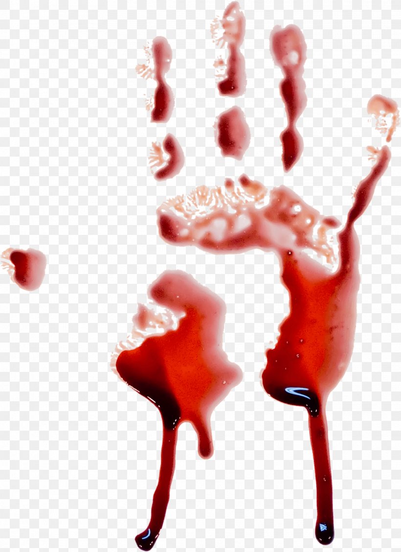 Blood Clip Art, PNG, 1969x2709px, Blood, Blood Cell, Blood Plasma, Cell, Hand Download Free