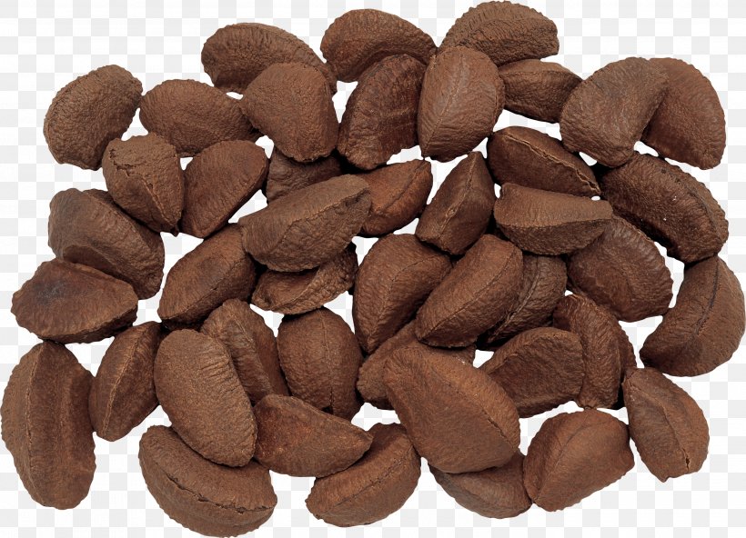Brazil Nut Nutcracker Hazelnut Pecan, PNG, 2800x2023px, Brazil Nut, Almond, Caramel, Chocolate, Eastern Black Walnut Download Free