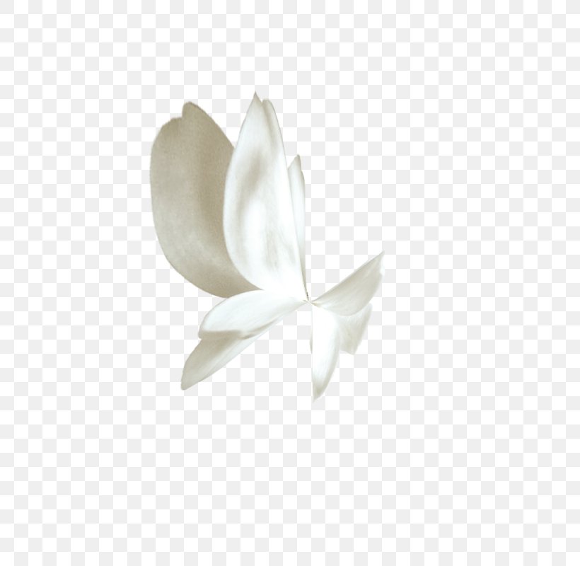 Butterfly White Gratis, PNG, 711x800px, Butterfly, Designer, Flower, Flowering Plant, Free Software Download Free