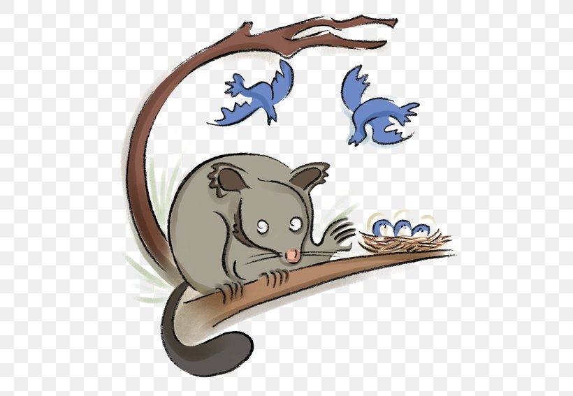 Cat Wombat Common Brushtail Possum Koala Clip Art, PNG, 567x567px, Cat, Animal, Brushtail Possum, Carnivoran, Cartoon Download Free