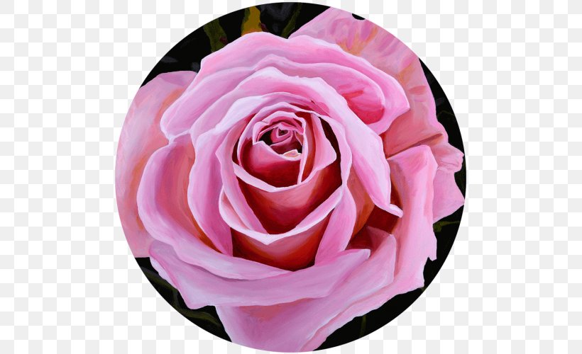Garden Roses The Art Of Painting Oil Painting, PNG, 500x500px, Garden Roses, Art, Art Of Painting, Cabbage Rose, Canvas Download Free