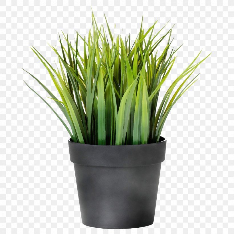 Grass Plant Green Flowerpot Chives, PNG, 1680x1680px, Watercolor, Chives, Flower, Flowering Plant, Flowerpot Download Free