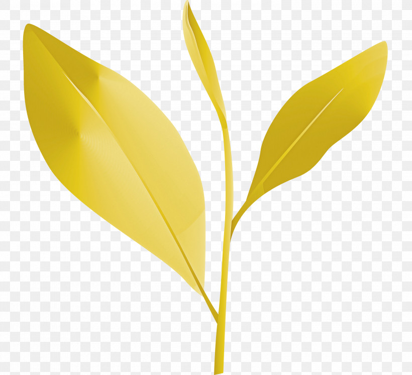 Tea Leaves Leaf Spring, PNG, 3000x2732px, Tea Leaves, Flower, Laurel Family, Leaf, Plant Download Free