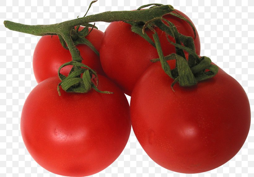 Tomato Vegetable Desktop Wallpaper, PNG, 800x572px, Tomato, Bush Tomato, Diet Food, Food, Fruit Download Free