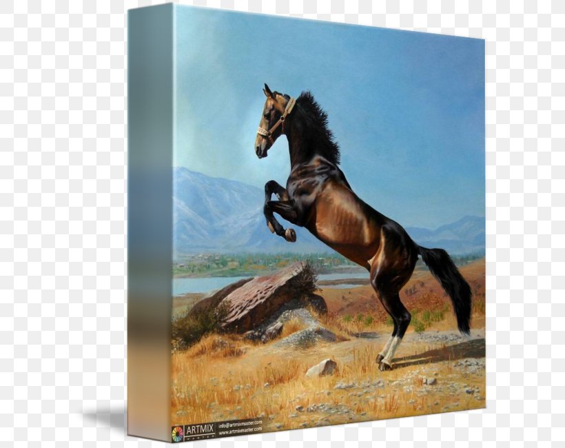 Akhal-Teke Painting Mustang Tashkent, PNG, 606x650px, Akhalteke, Canvas, Drawing, Equus, Fauna Download Free