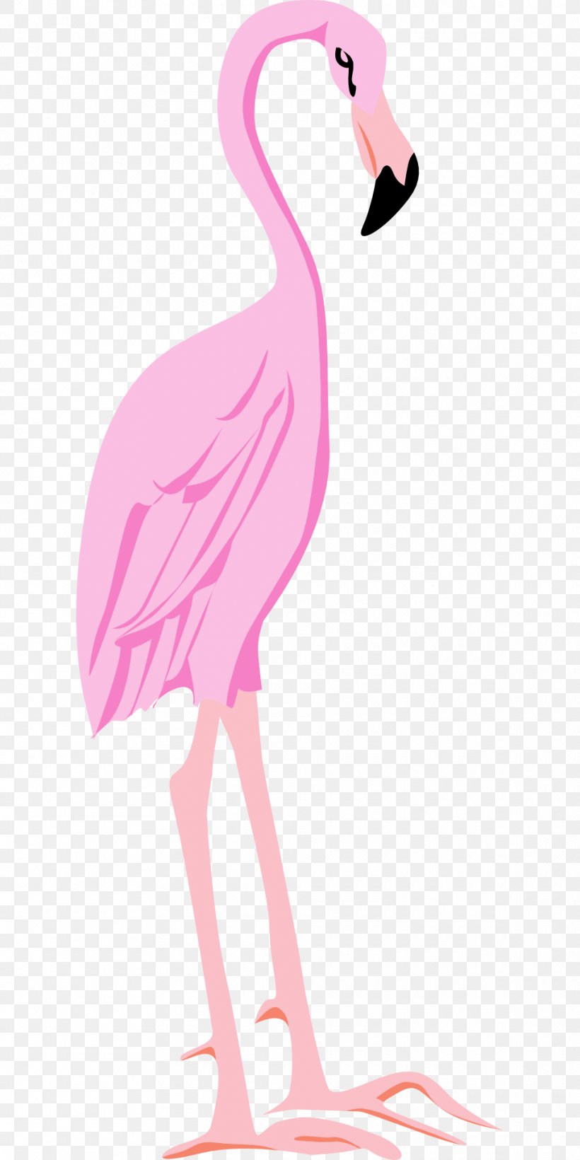 Bird Flamingo Clip Art, PNG, 960x1920px, Bird, Animation, Beak, Blog, Ducks Geese And Swans Download Free