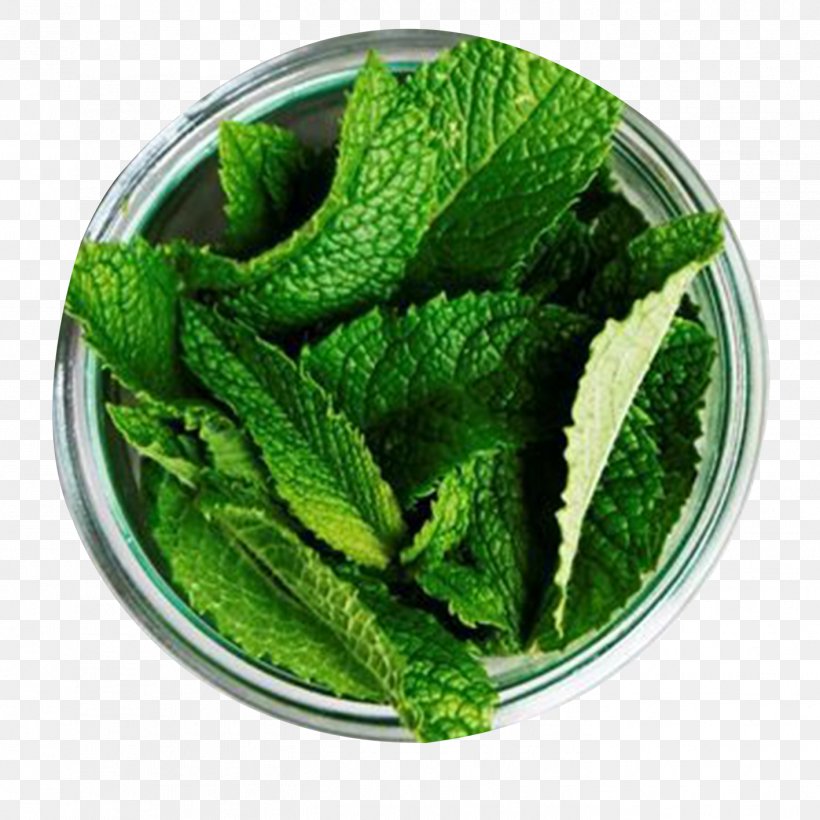 Chutney Tea Peppermint Mentha Spicata Herb, PNG, 1417x1417px, Chutney, Drink, Flavor, Food, Food Drying Download Free
