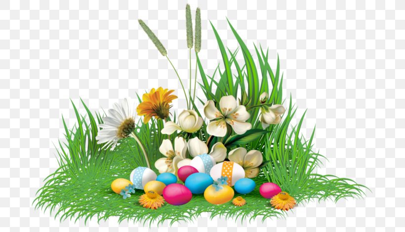 Easter Bunny Floral Design Easter Egg Birman, PNG, 699x470px, Easter, Birman, Blog, Cat, Cut Flowers Download Free