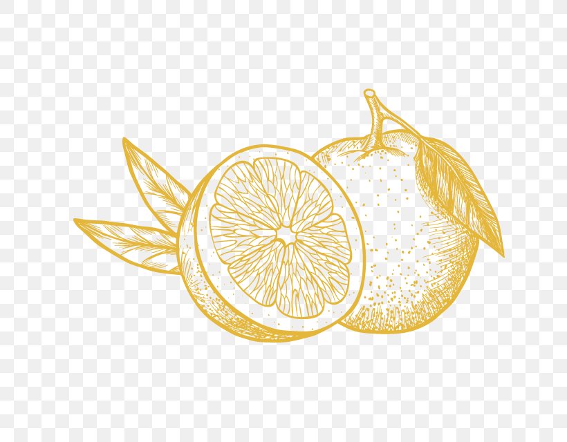 Lemon Bergamot Orange Gin, PNG, 640x640px, Lemon, Bergamot Orange, Bitter Orange, Citrus, Drawing Download Free