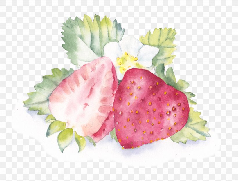 Painting Download Illustration, PNG, 3632x2767px, Painting, Diet Food, Flower, Food, Fruit Download Free
