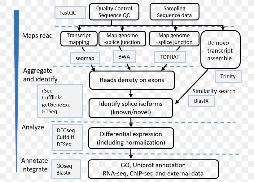 RNA-Seq ChIP-sequencing Pipeline, PNG, 750x588px, Rnaseq, Analytics, Area, Assembly, Chipsequencing Download Free