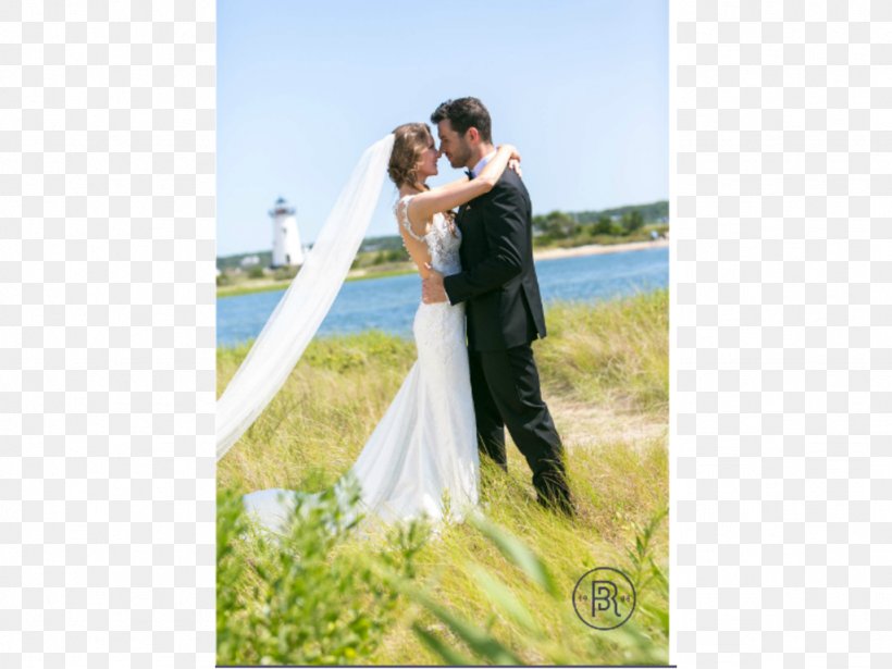 Wedding Dress Bride Gown, PNG, 1024x768px, Wedding Dress, Bridal Clothing, Bride, Ceremony, Dress Download Free