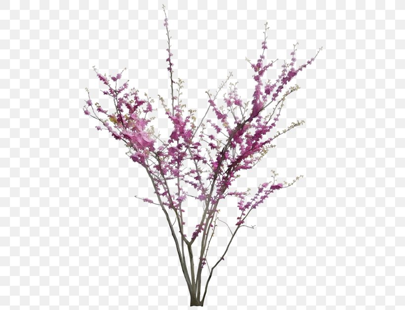 Plant Branch Flower Twig Pink, PNG, 500x629px, Watercolor, Branch, Cut Flowers, Flower, Grass Download Free