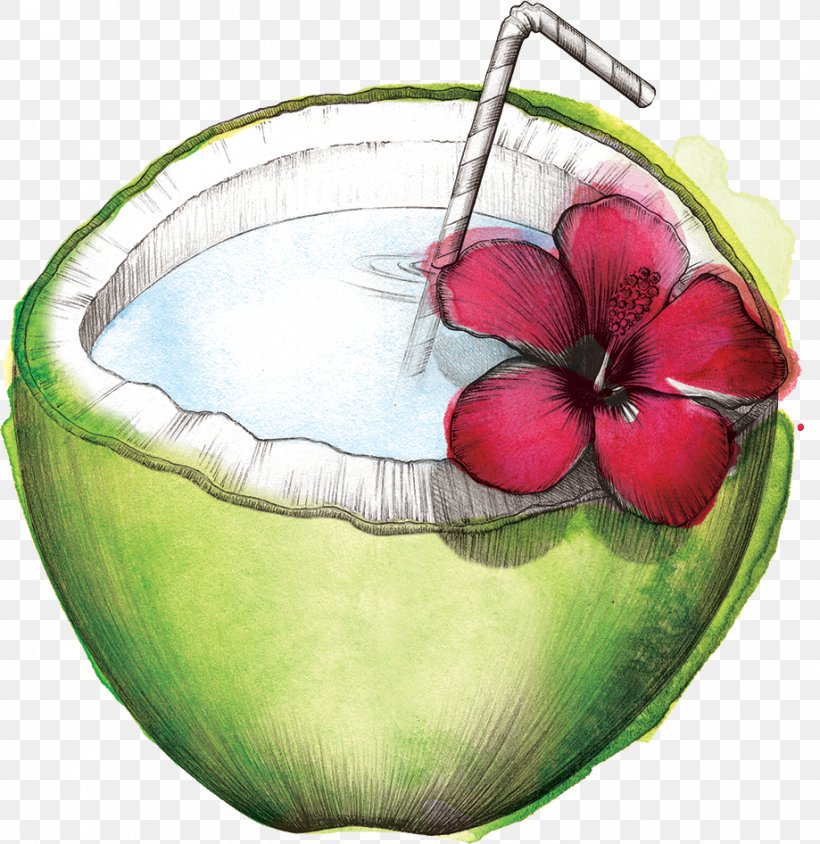 Watermelon Coconut Water Still Life Photography, PNG, 919x946px, Watermelon, Apple, Bag, Citrullus, Coconut Water Download Free