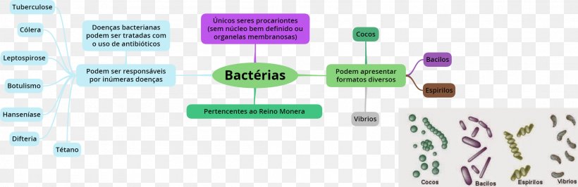Document Technology Research, PNG, 2206x717px, Document, Area, Bacteria, Brand, Communication Download Free