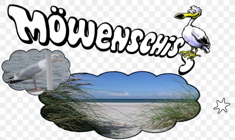 Flightless Bird Amphibian Beak Logo, PNG, 1000x600px, Flightless Bird, Amphibian, Beak, Behavior, Bird Download Free