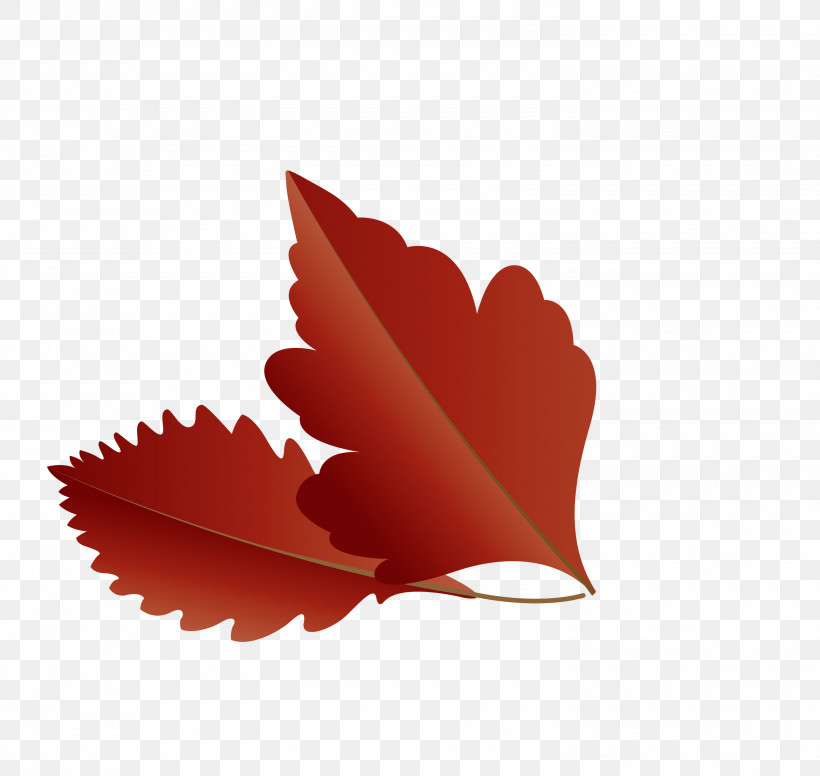 Maple Leaf, PNG, 3000x2841px, Autumn Leaf, Biology, Cartoon Leaf, Fall Leaf, Heart Download Free