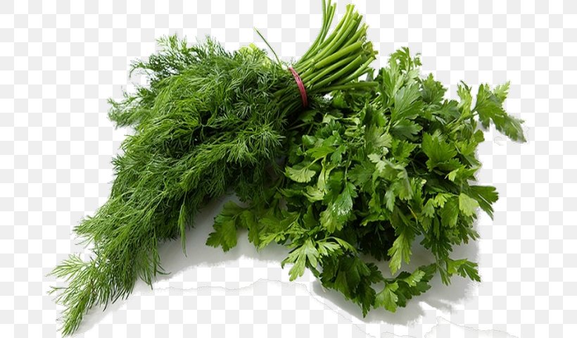 Parsley Dill Vegetable Herb Salad, PNG, 720x480px, Parsley, Broth, Celeriac, Cuisine, Dill Download Free